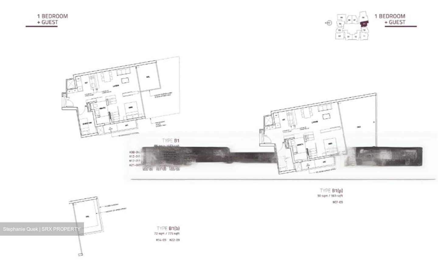 Cairnhill Nine (D9), Apartment #460949721